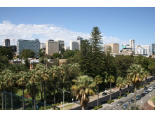 ������ 501.jpg