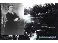 ���� ������