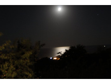 ���� - ��� �� ����