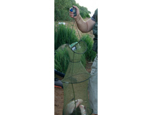 ���� � ������.jpg