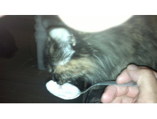 02082012490.jpg