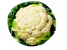 ��.�������