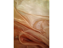 ���������� �������� ���