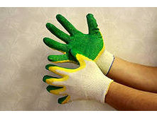 �������� �������� ������� ��������� ����� - 14 ���. - ������ 20-22