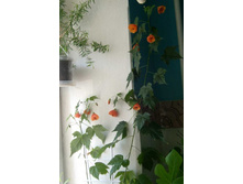 �������� ���� � �����