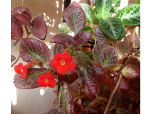 Jim`s Moody Rock ��.jpg