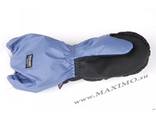 ���� ���������� �������