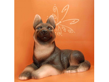 ������ �����.jpeg