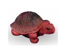 �������� ����.jpg