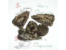  ��� �� (������� ������ )   2138���