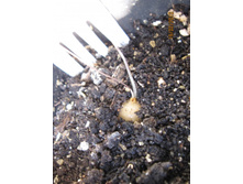 ��� ����� ������� ������ � ���� ���������