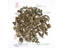 ����� �� (���������� ����)   2109���