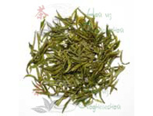 ���� ���� ������   1995���