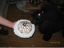 ���� � ����� 371.jpg