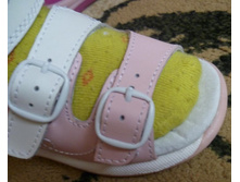 ������ 22 �� ������� 14��