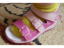 ������ 23 �� ������� 14.5��