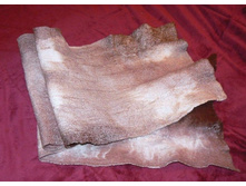 �� �����