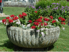 P1020001 - �����.JPG