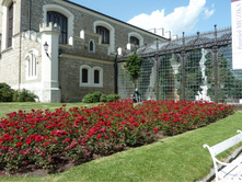 P1020002 - �����.JPG