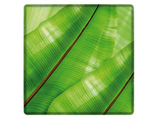 ������� ��������� ABACCA 25,5�� 