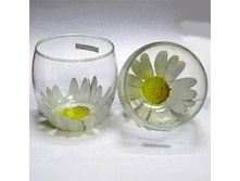 �������  PAQUERETTE 2��