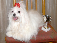 21 ����� 2010