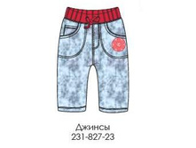 231-827-23 ������.���� 538�.JPG