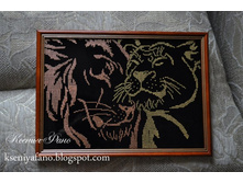 DSC_0119 (800x531).jpg