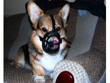 ����������� 2457.jpg