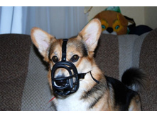 ����������� 2459.jpg