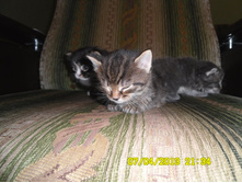 SAM_0563.JPG