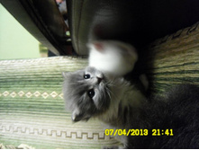 SAM_0585.JPG