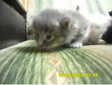 SAM_0591.JPG