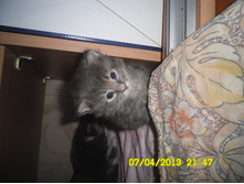 SAM_0594.JPG