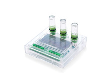 ������ ���� ���---����_458 ���.jpg