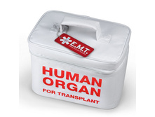 ���������� EMER---GENCY MEAL TRAN---SPORT_664 ���.jpg