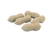 ����� �������� ��������� ������_160 ���.jpg