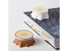 ������� ����������, �����_312 ���.jpg