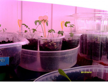 �� ������ � ����������� ������ ���������������