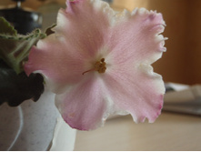 ��-������