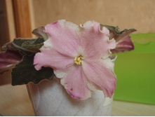 ��-������