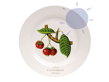 ������� ���������_533 ���.jpg