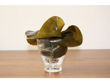 �*���� � ��*��������� ��*������ (����*�����) �������