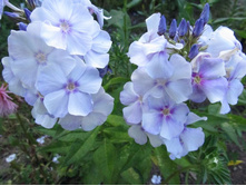 �������.