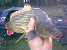 01092011(003) - �����.jpg