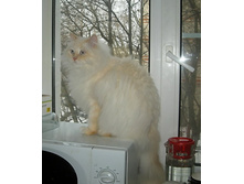 ��� � �ݣ ������������....jpg