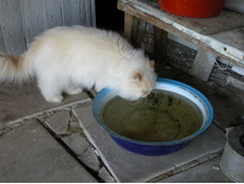 2012-07-14 08-53-56_0048.JPG