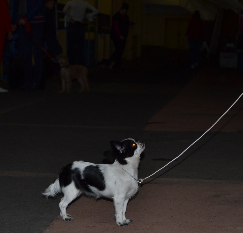 DSC_0058.JPG