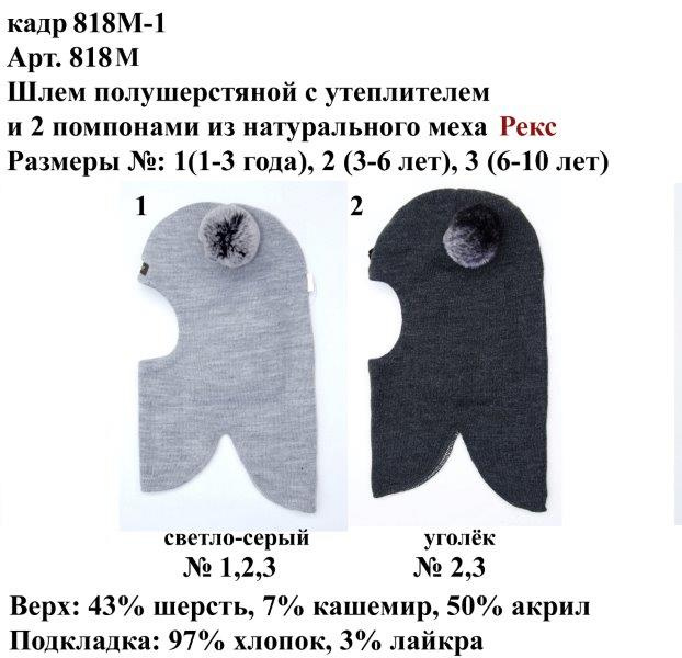 818М-1.jpg