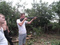 Drandulet_